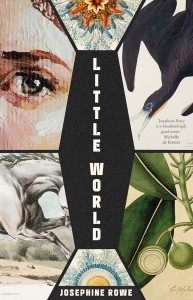 Little World_cover